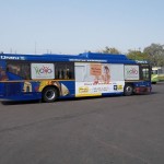 Delhi Hoho buses. LIC Ads